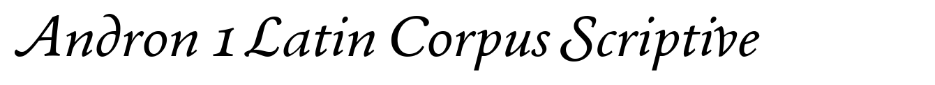 Andron 1 Latin Corpus Scriptive image